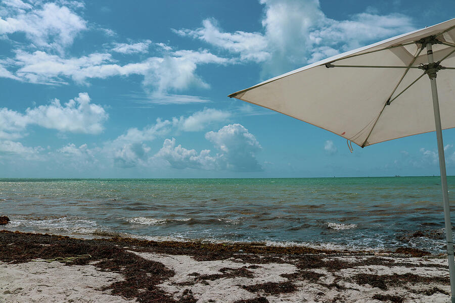 Florida Keys Beachscape with Turquoise Waters and Sun Umbrella Photograph by Brigitte Blanchette Thompson Florida Keys Beachscape with Turquoise Waters and Sun Umbrella Photograph by Brigitte Blanchette Thompson