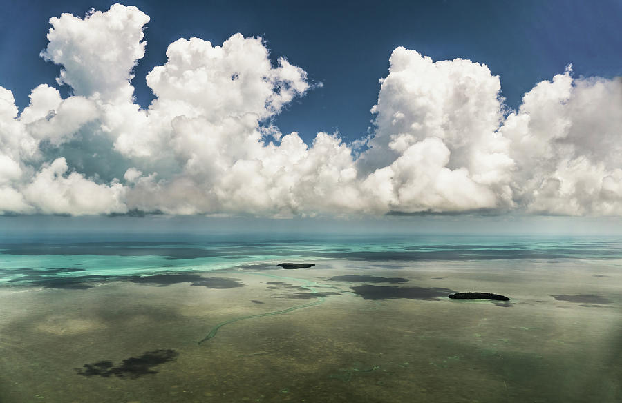 Florida Keys Photograph by David R Robinson - Fine Art America