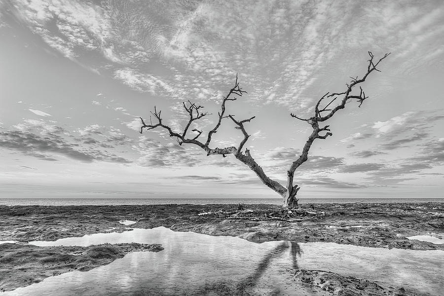 Florida Keys Solitude Black and White Photograph by JC Findley