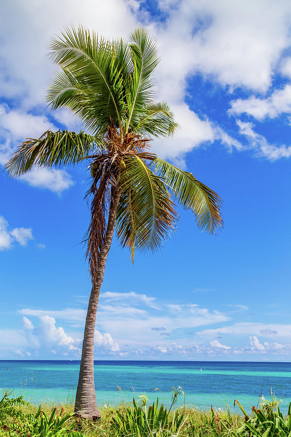 Florida Keys Vistas Photograph by Stefan Mazzola