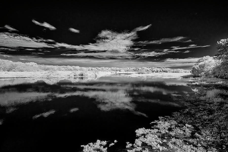 Black And White Photograph - Florida Lake by Jon Glaser