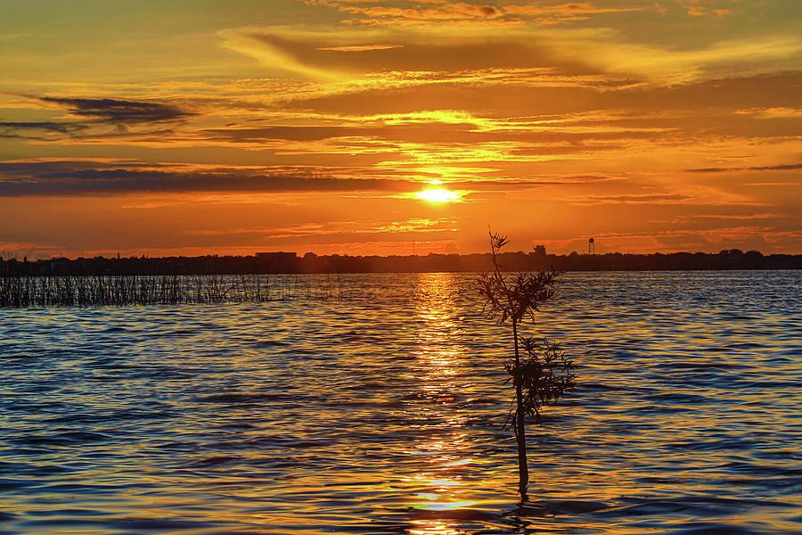Florida Lake Sunrise Photograph by Dart Humeston