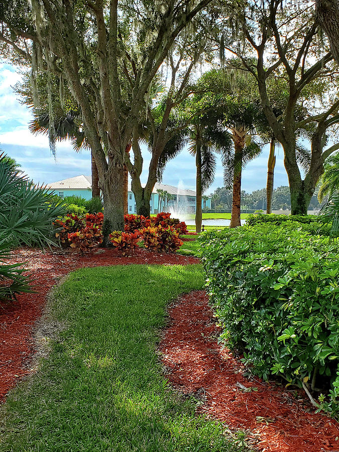 Florida Landscape Photograph by Sharon Williams Eng - Fine Art America