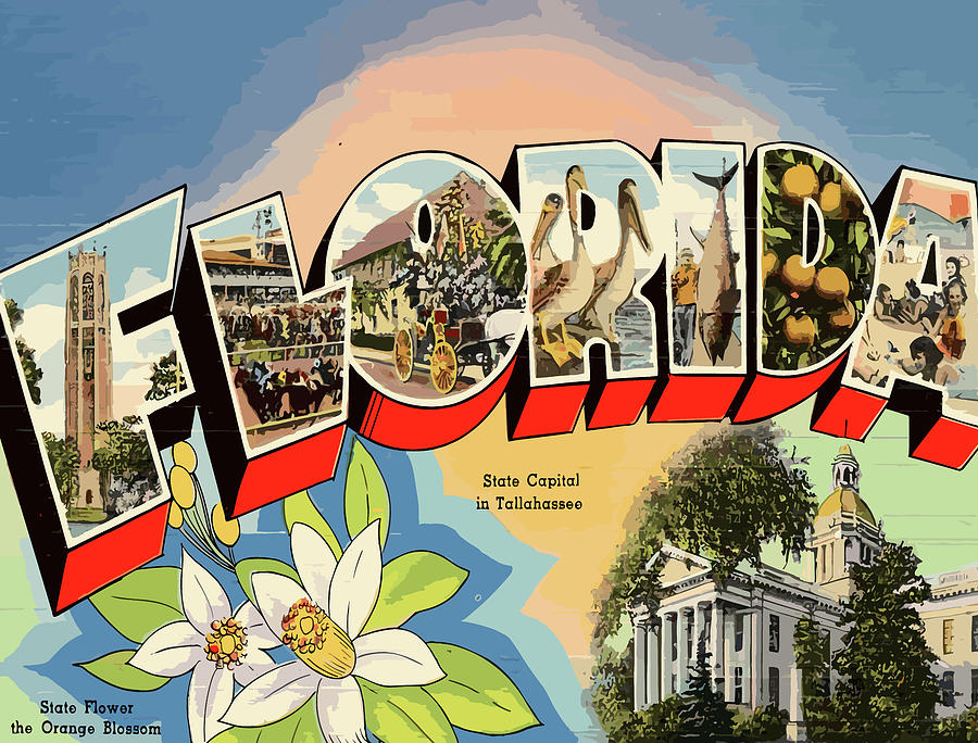 Tallahassee Digital Art - Florida Letters with Landmarks by Long Shot
