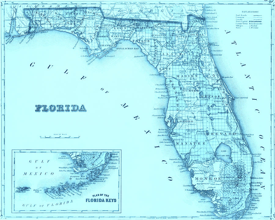 Florida Map Blue Photograph by Laura Fasulo