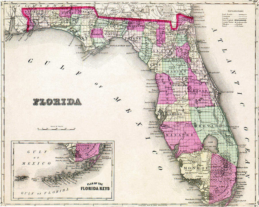 Florida Map Photograph by Laura Fasulo
