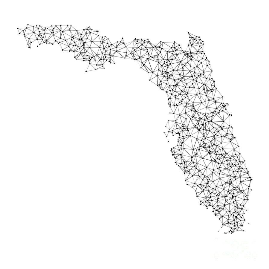 Florida Map Network Black And White Digital Art by Frank Ramspott - Pixels