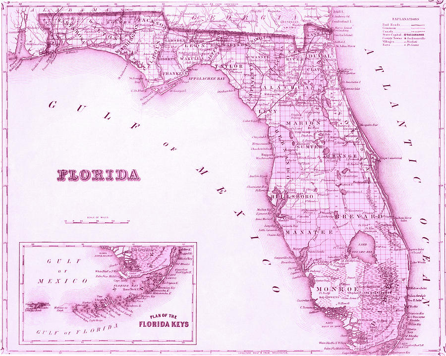 Florida Map Pink Photograph by Laura Fasulo