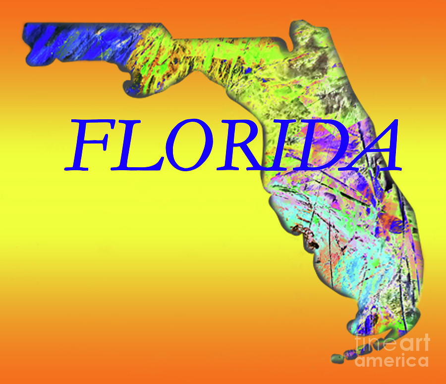 Florida Map Mixed Media by Sharon Williams Eng