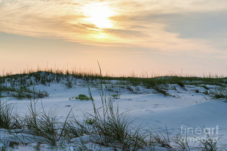 Florida Morning Sand Dunes Photograph by Jennifer White