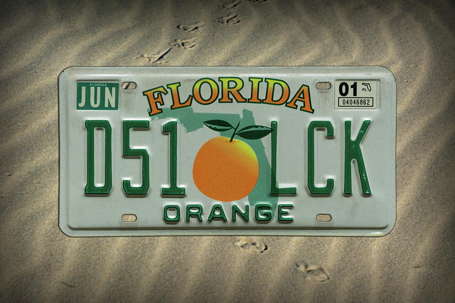 USA Florida Orangen Blüten Flagge Nummernschild License Plate Deko Blechschild 