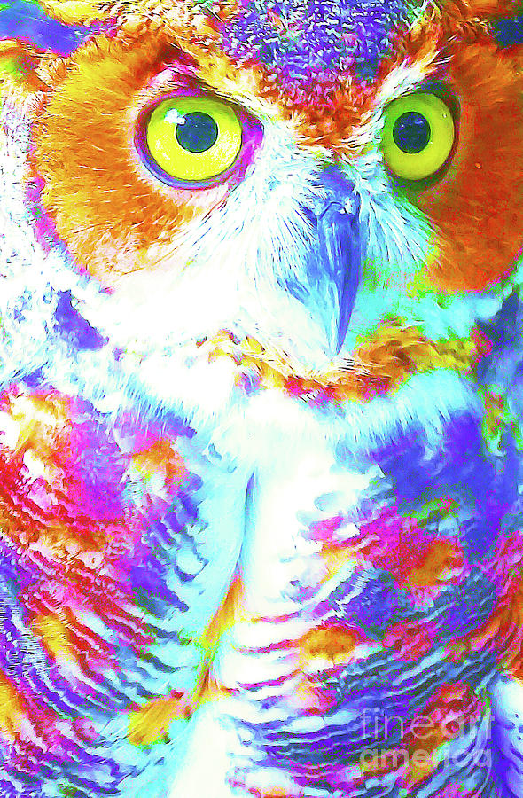 Florida Owl in Paint Painting by Chris Andruskiewicz