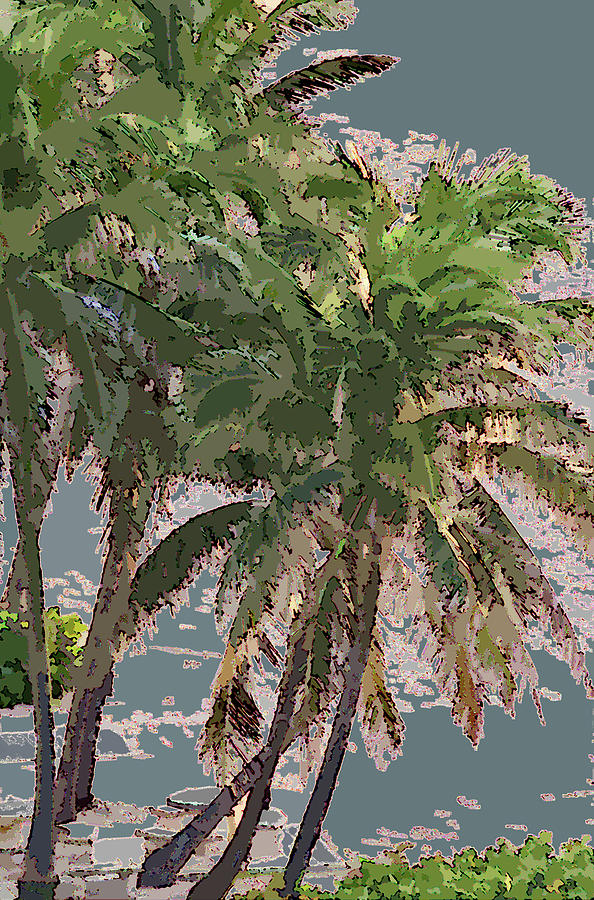 Florida Palm Trees Photograph by Corinne Carroll