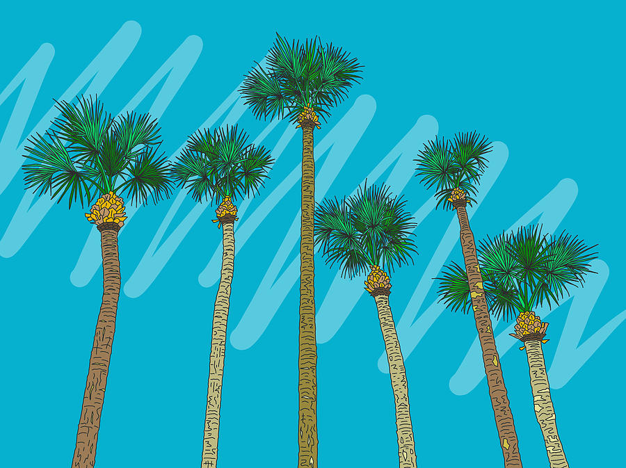 Florida Palm Trees Drawing By La Maison Du Lapino