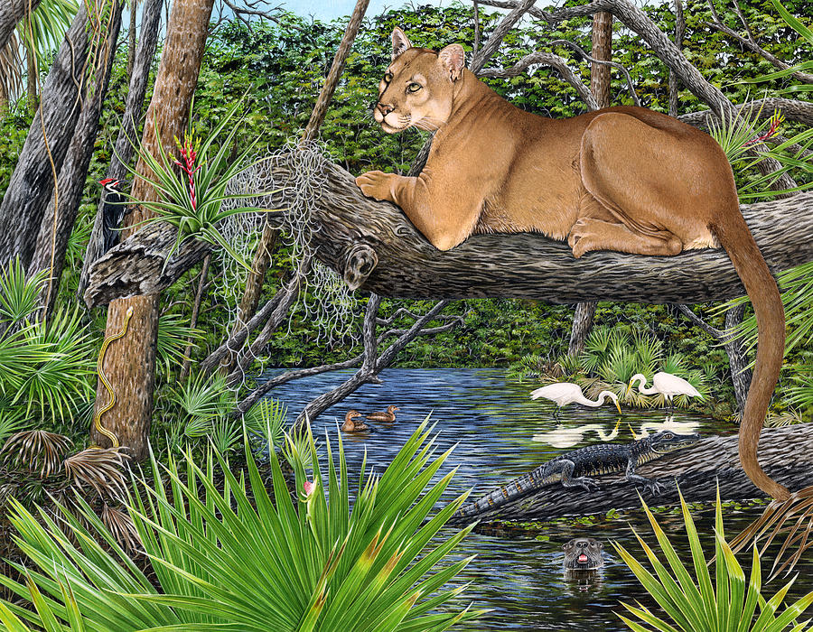 Florida Panther in Habitat Painting by Dawn Witherington