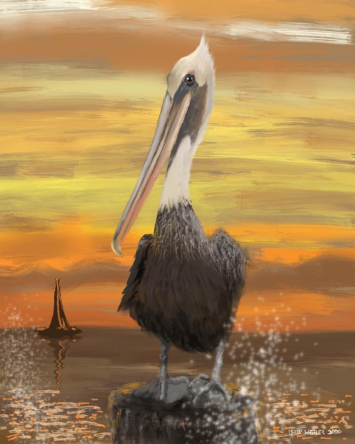 Florida Pelican  Digital Art by Larry Whitler