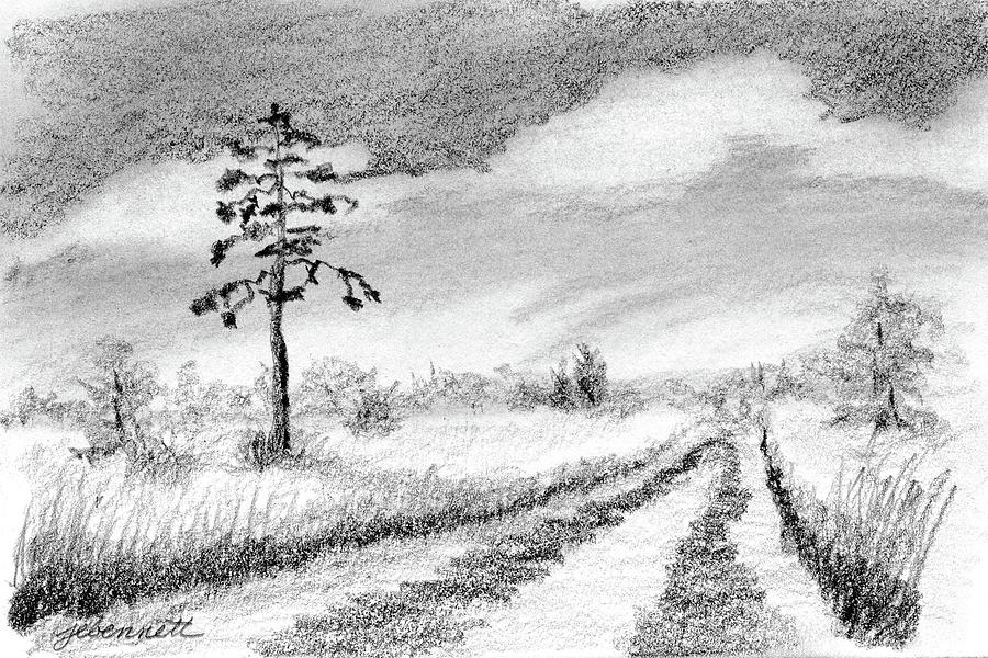 Florida Prairie Drawing by John