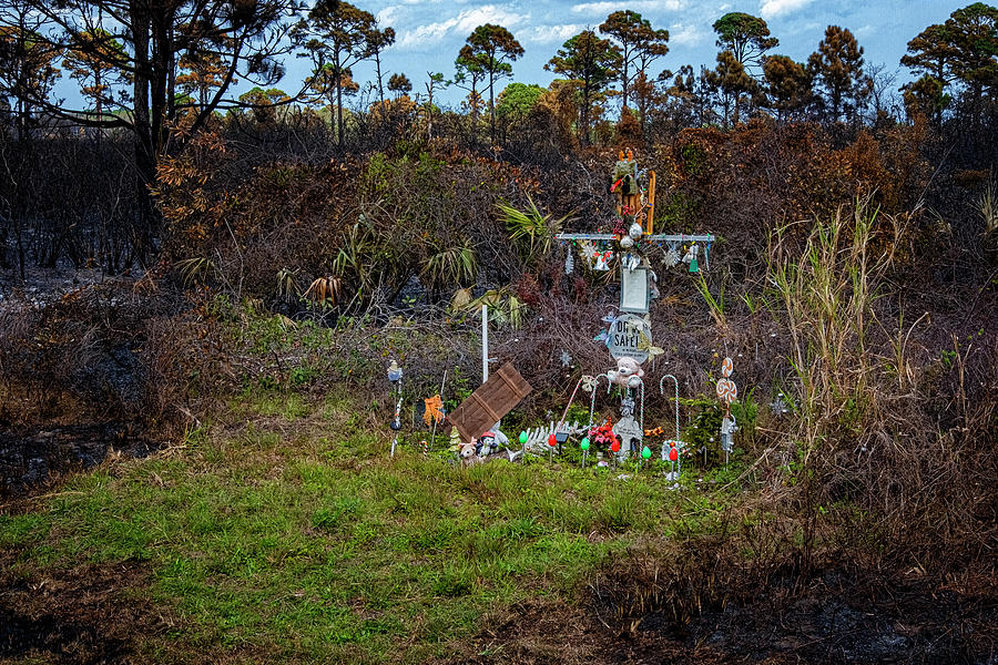 Florida Roadside Shrine Photograph by Tom Singleton