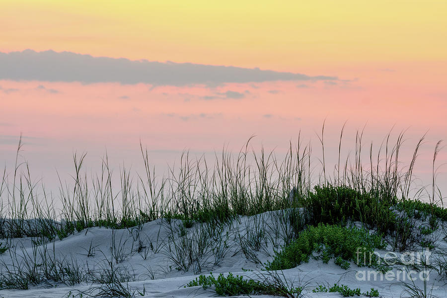Florida Sand Dunes Dusk Photograph by Jennifer White
