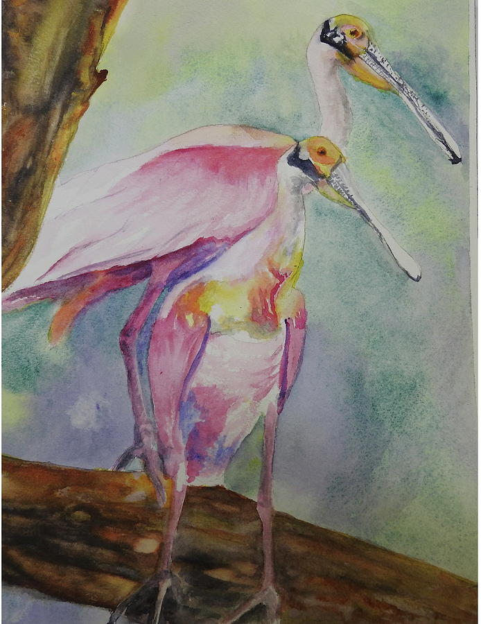 Florida Spoonbills Painting by Barbara F Johnson