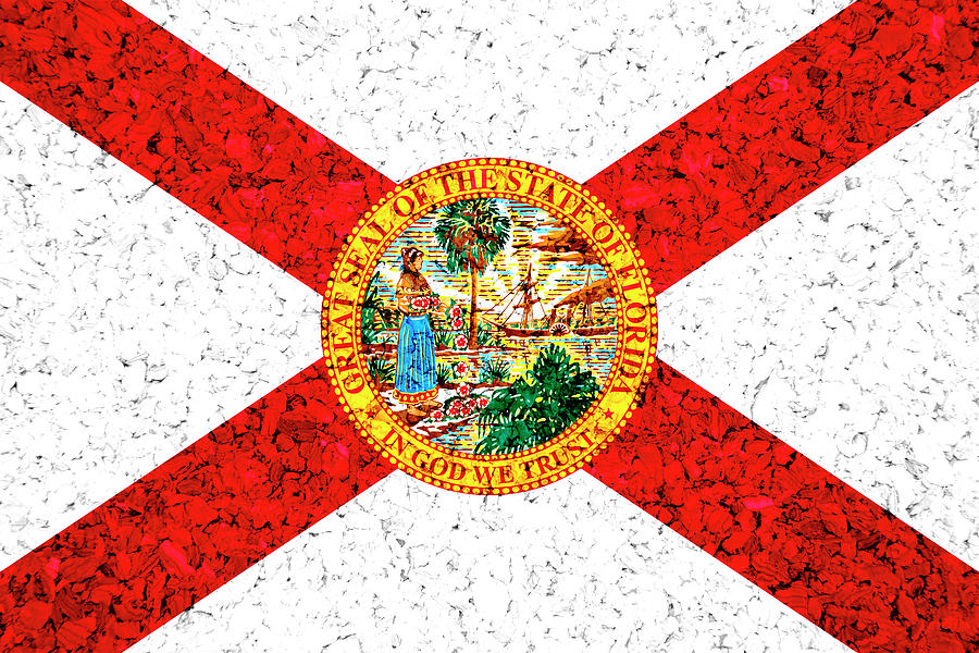 Florida State Flag On Cork Photograph