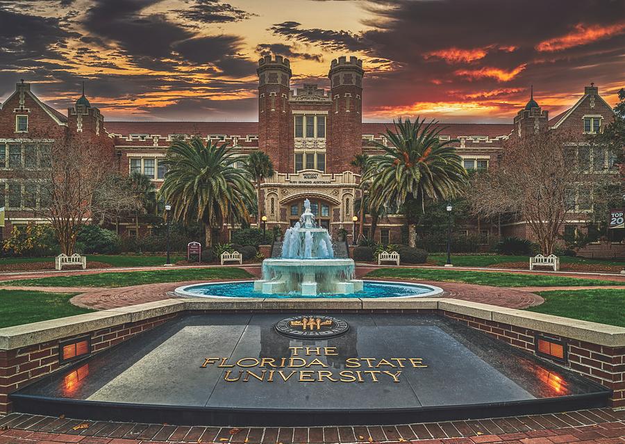 Florida State University Photograph - Florida State University Campus by Mountain Dreams
