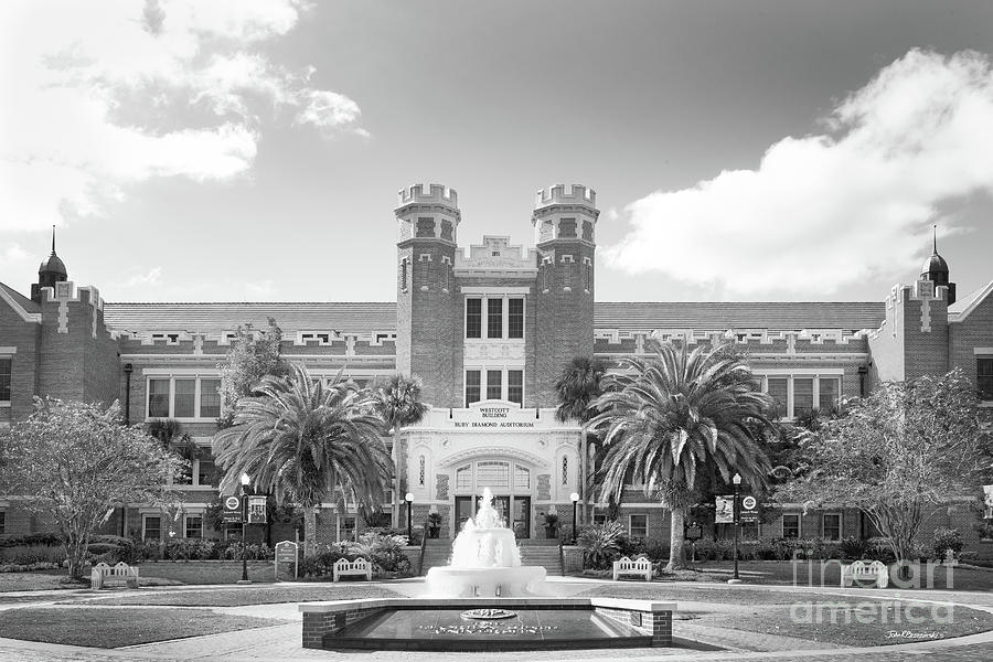 Florida State University Westcott Building Photograph by University Icons
