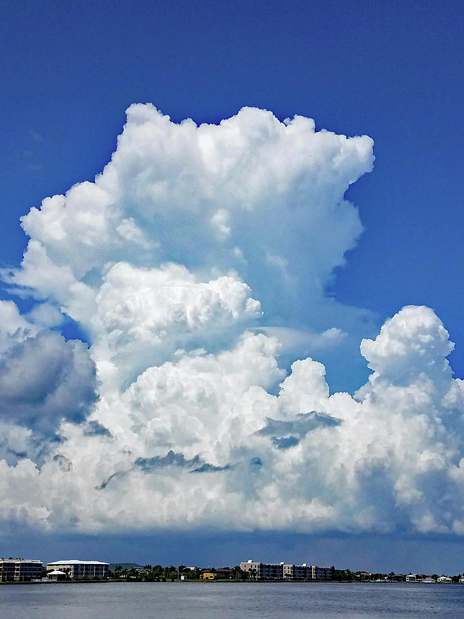 Florida Summer Clouds Photograph by Sharon Williams Eng