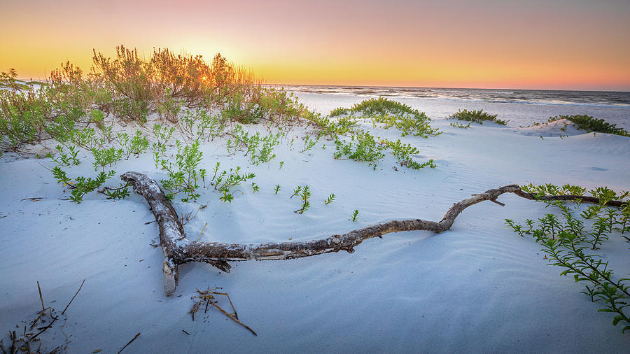 Florida Sunrise Driftwood Gulf Islands National Seashore Photograph by Jordan Hill