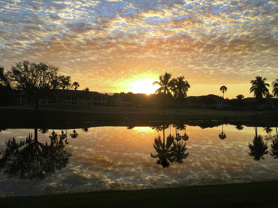 Florida Sunrise Reflection Photograph by David T Wilkinson
