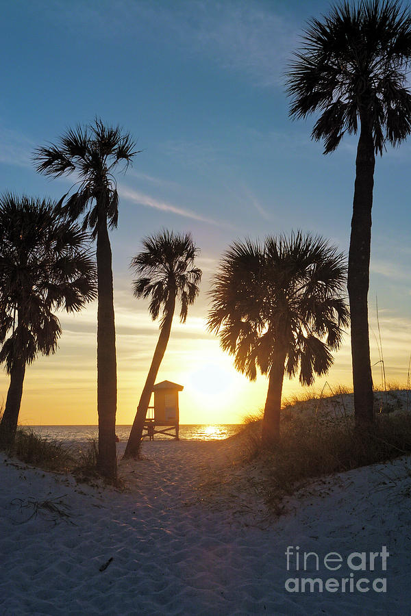 Florida Sunset,  Clearwater Beach, Florida Photograph