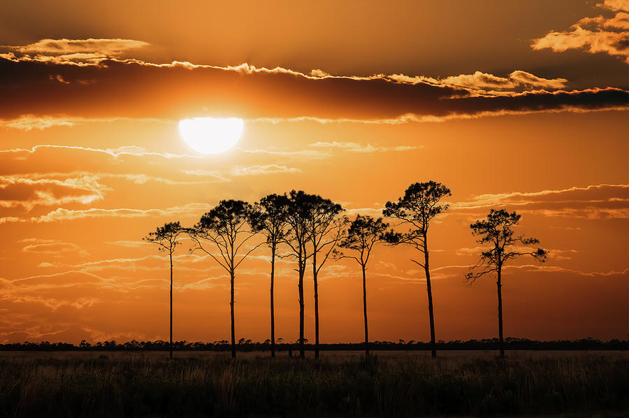 Florida Sunset Photograph