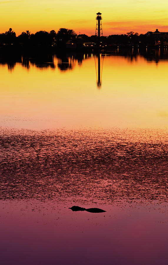 Florida Sunset Photograph by Mike O'Shell - Pixels