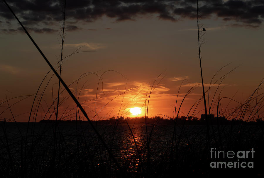 Florida Sunset over Water Photograph by Sandra Js
