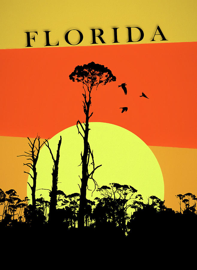 Florida Sunset Retro Pop Art Poster Mixed Media by Dan Sproul
