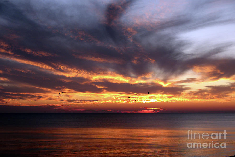 Beach Photograph - Florida Sunset Skys by Christiane Schulze Art And Photography
