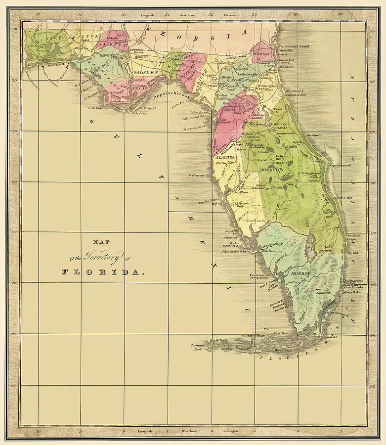 Florida Territorial Map 1842 Photograph by Phil Cardamone - Fine Art ...