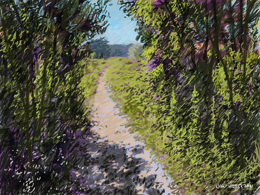 Florida Trail Digital Art by Larry Whitler