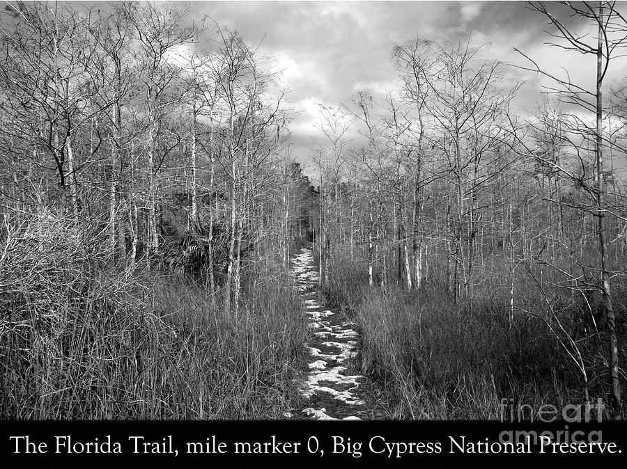 Florida trail mile marker 0 Photograph by David Lee Thompson