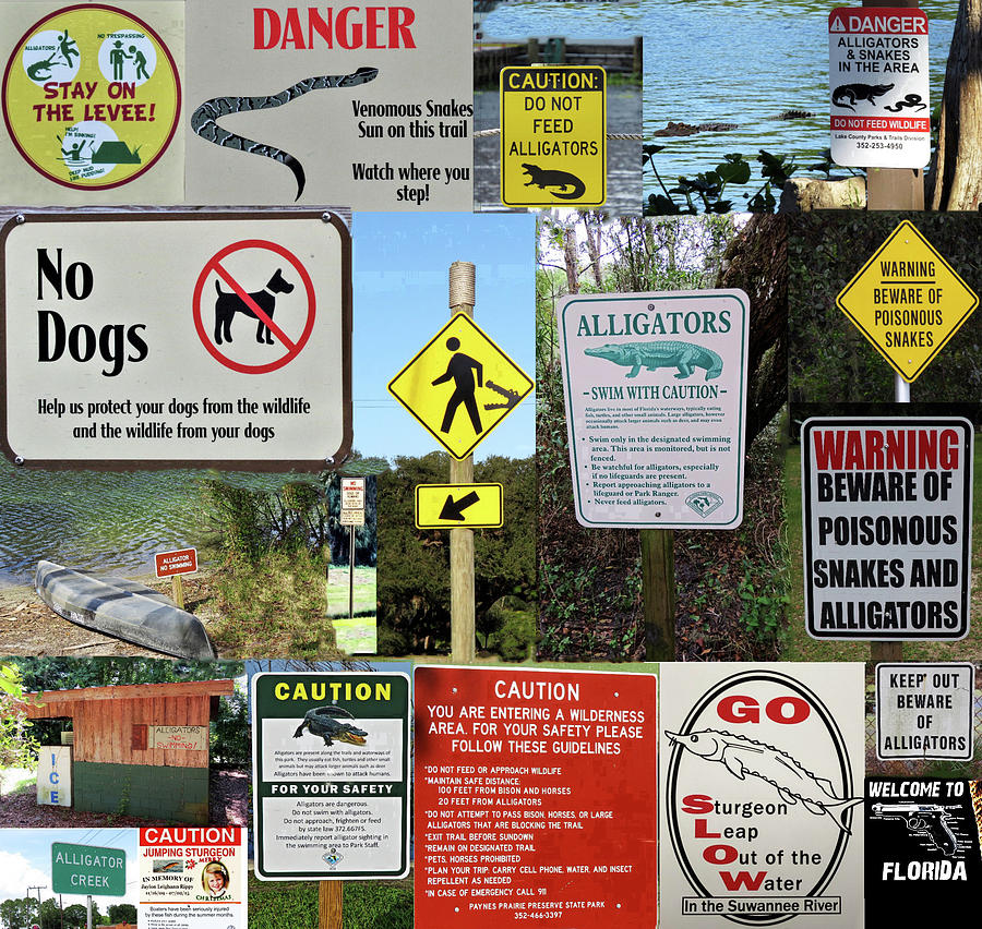 Florida Warning Signs Photograph