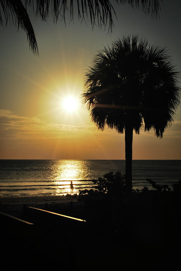 Florida-watching The Setting Sun Photograph