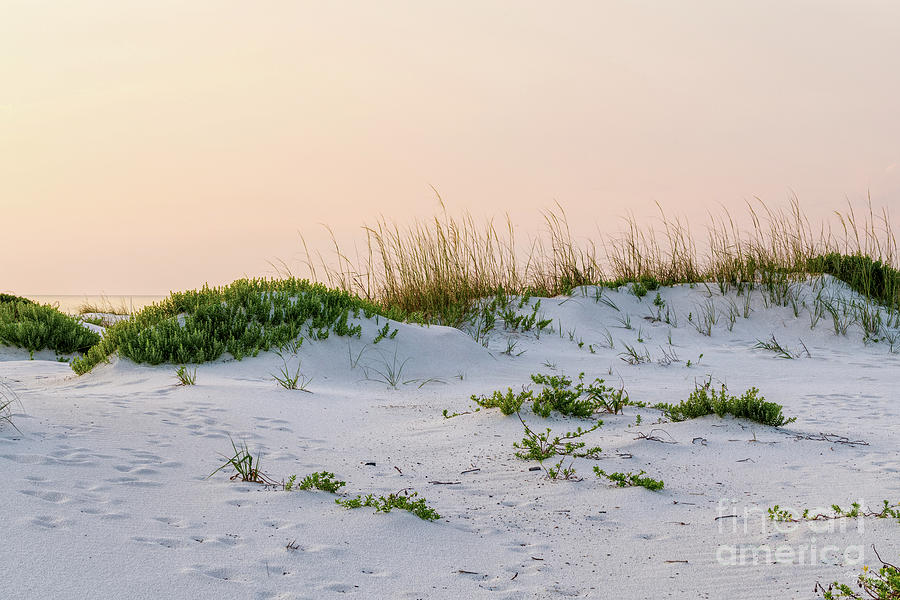 Florida White Sand Dunes Sunrise Photograph by Jennifer White