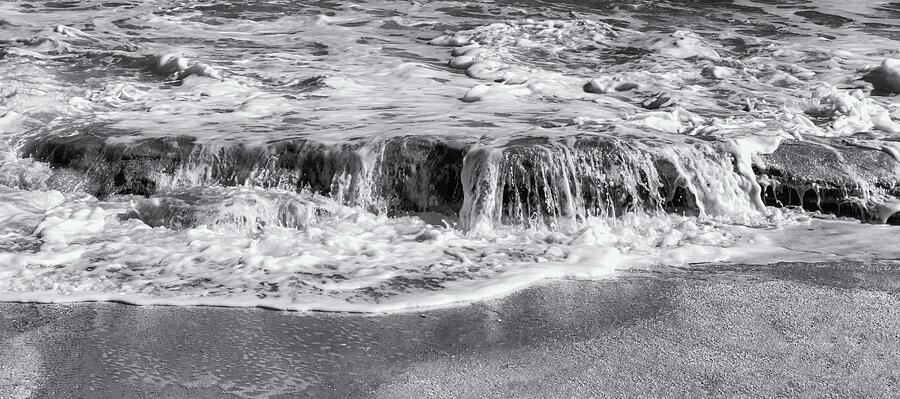 Shell Photograph - Floridas Palm Coast by Norma Brandsberg
