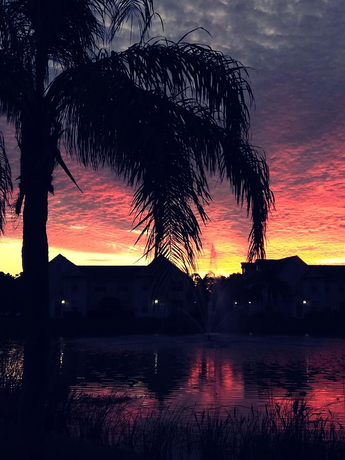 Floridian Sunrise Photograph by Claudia Zahnd-Prezioso