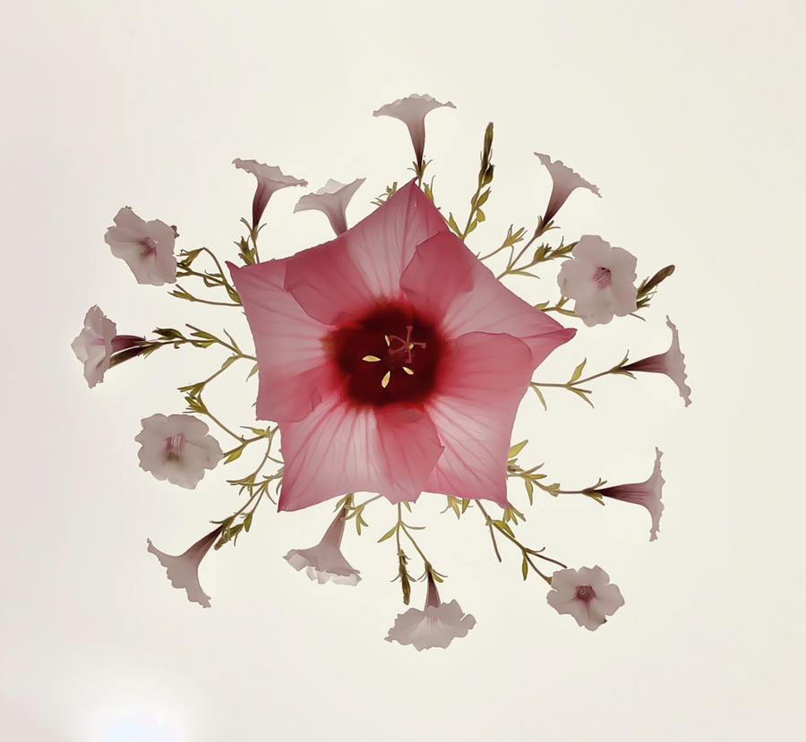 Florus Vintage-inspired botanical Photograph by Maz Ghani