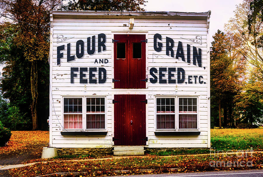 Flour And Feed Photograph