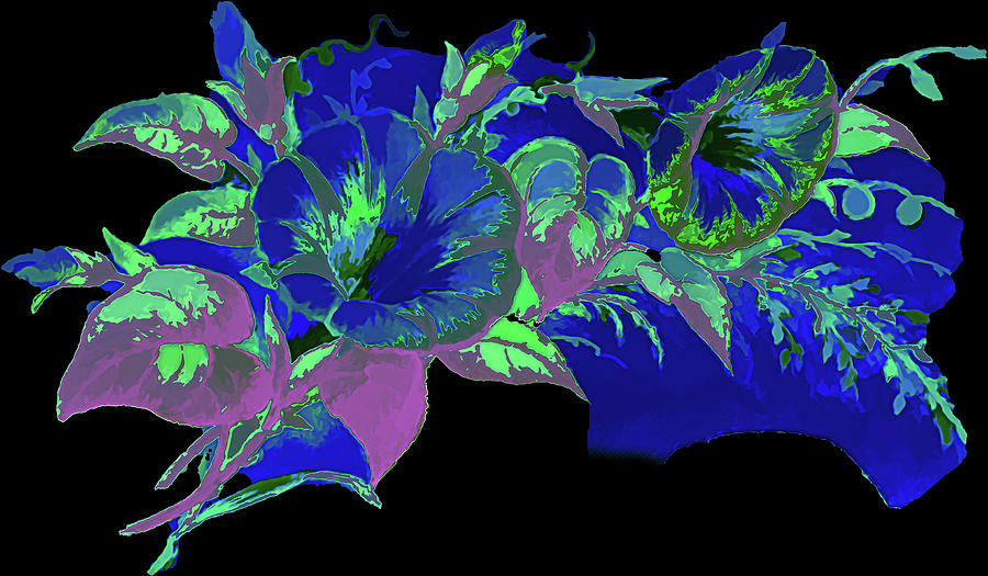 Flourescent Flowers  Digital Art by Cathy Anderson