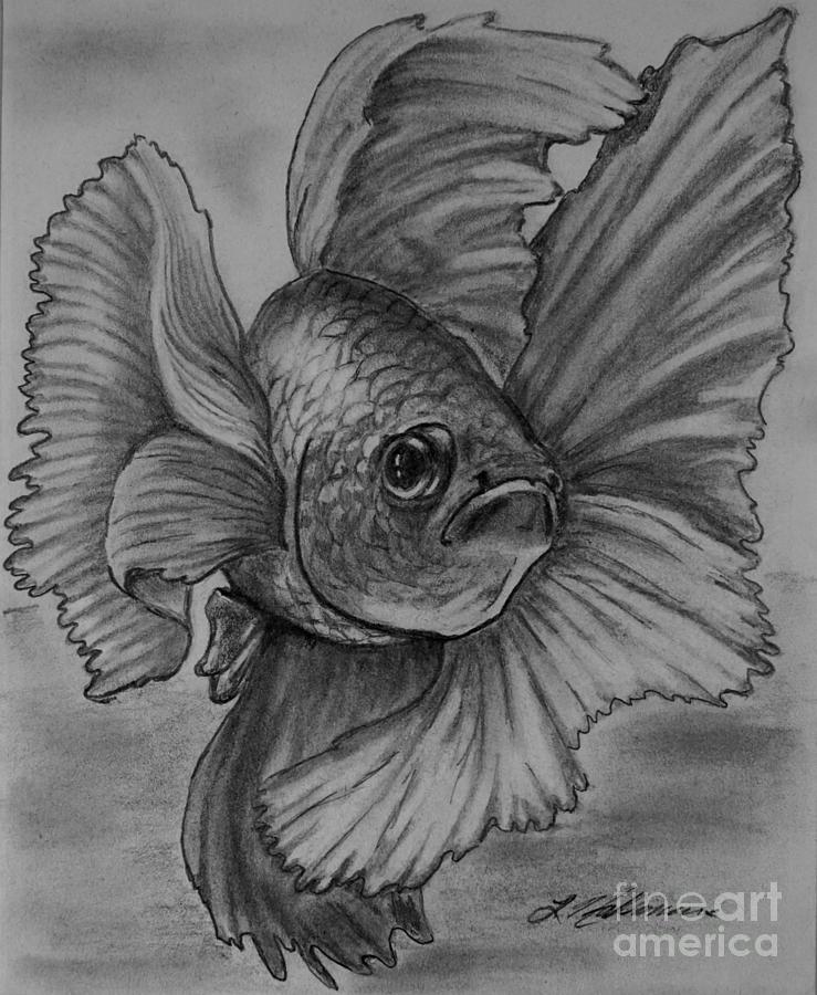 Premium Vector | Cute fish drawing printable coloring page-saigonsouth.com.vn