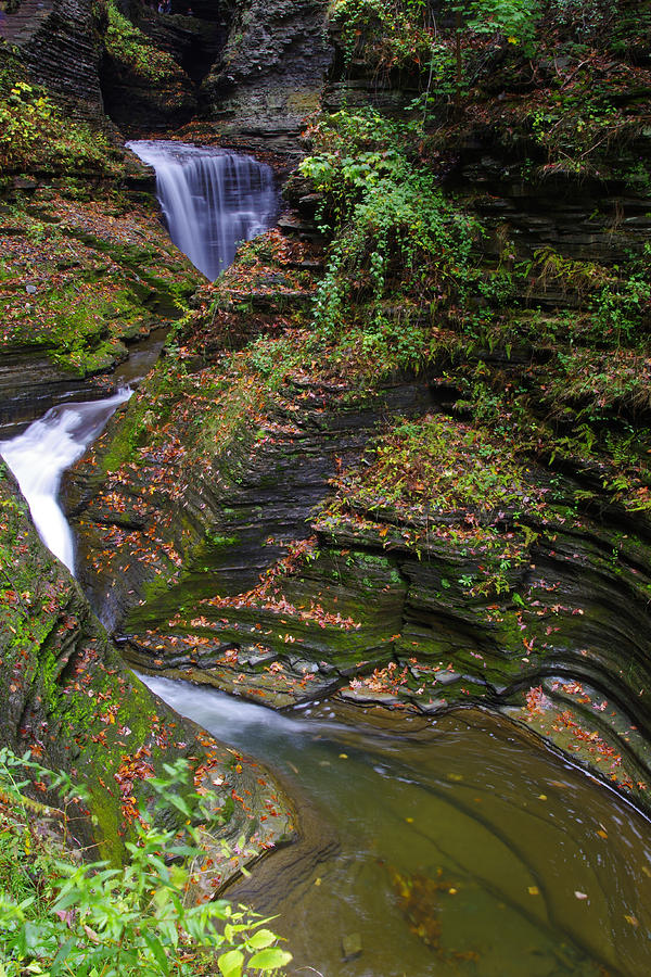 Flowing Stream - Finger Lakes, New York Photograph by Kenneth Lane Smith