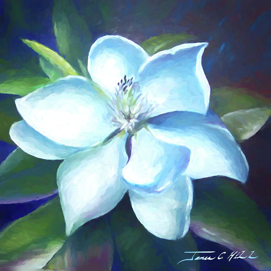 Flower 1 - Magnolia Painting by James Hill